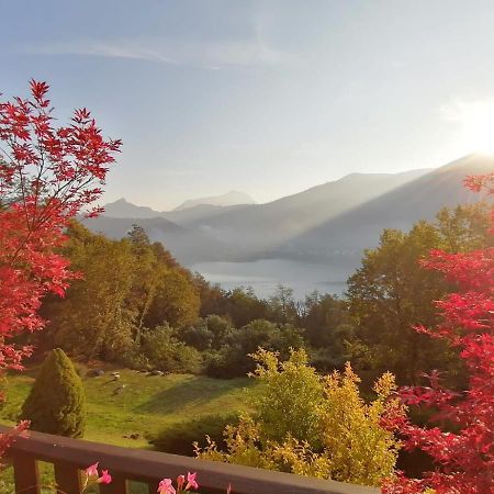 La Finestra Sul Lago Acomodação com café da manhã Brusimpiano Exterior foto