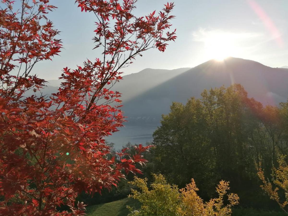 La Finestra Sul Lago Acomodação com café da manhã Brusimpiano Exterior foto