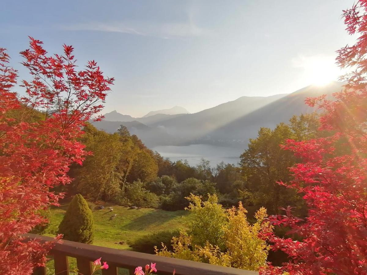 La Finestra Sul Lago Acomodação com café da manhã Brusimpiano Exterior foto