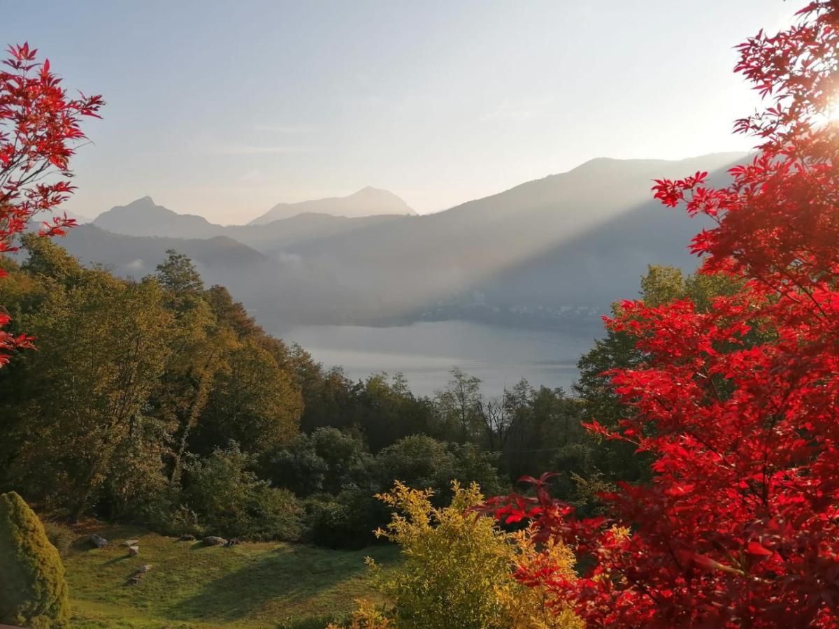 La Finestra Sul Lago Acomodação com café da manhã Brusimpiano Exterior foto