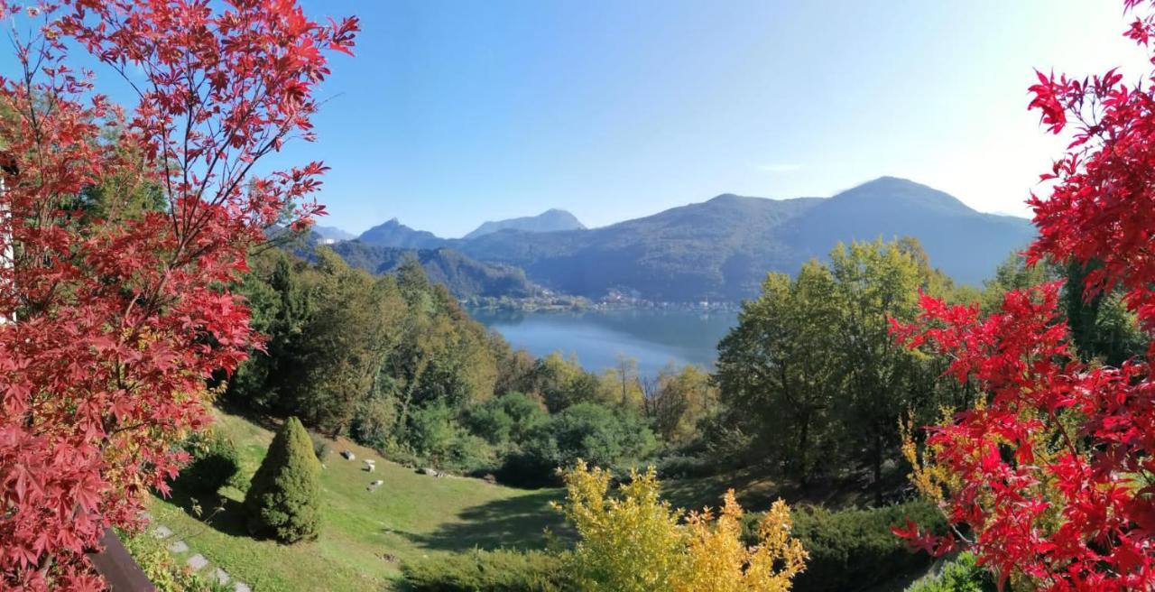 La Finestra Sul Lago Acomodação com café da manhã Brusimpiano Exterior foto