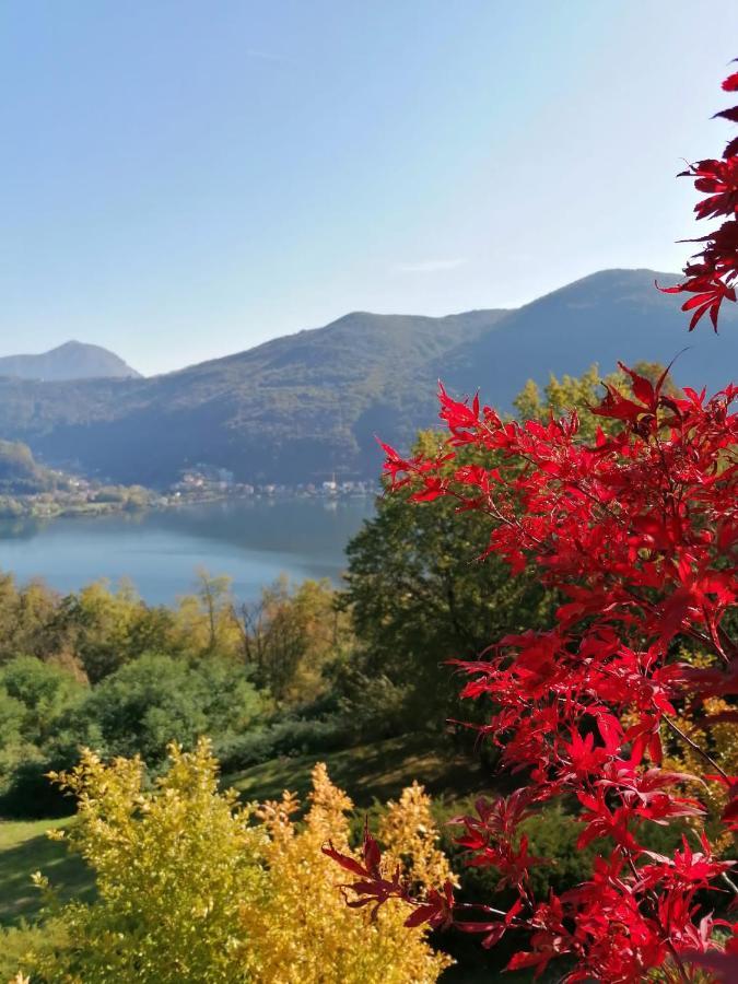 La Finestra Sul Lago Acomodação com café da manhã Brusimpiano Exterior foto